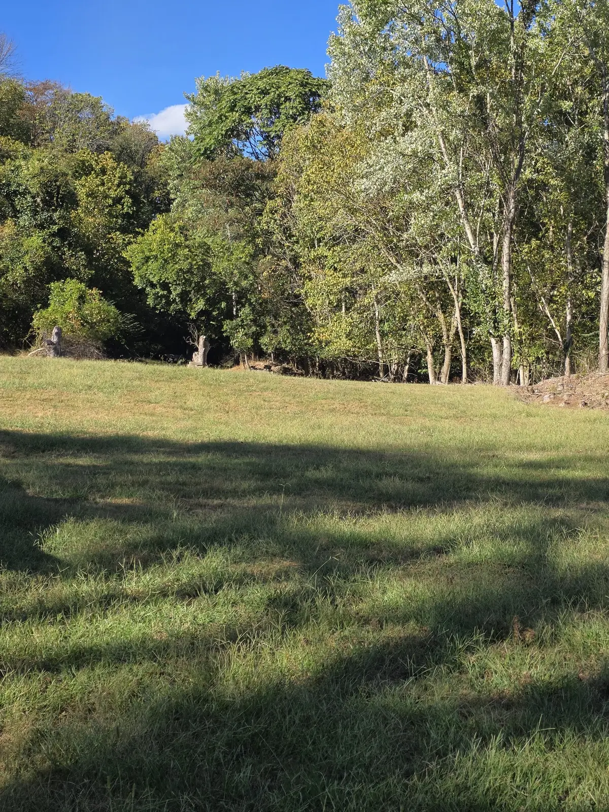 0 Hitt Lane, Goodlettsville, TN 37072 - #1