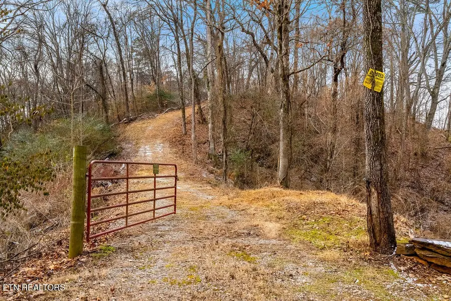 4129 Bear Hollow Loop, Louisville, TN 37777 - #2