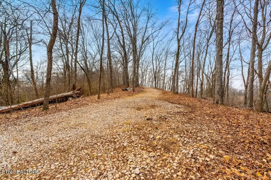 4129 Bear Hollow Loop, Louisville, TN 37777 - #3