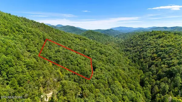 4143 Lumber Jack Way, Sevierville, TN 37876