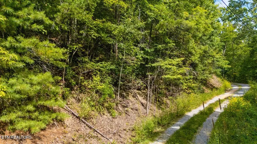 4143 Lumber Jack Way, Sevierville, TN 37876 - #2