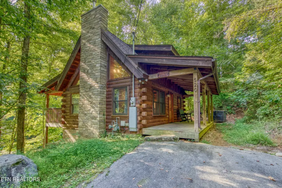 520 Ogle Drive, Pigeon Forge, TN 37863 - #3