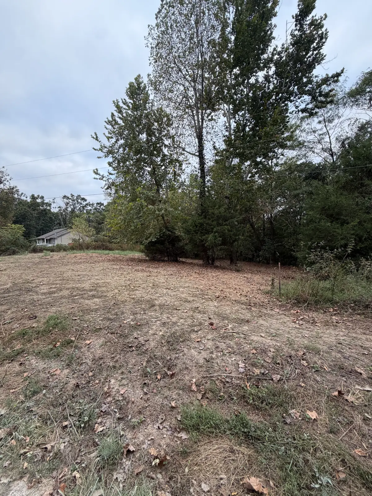 2218 Gina Ln, Mount Pleasant, TN 38474 - #1