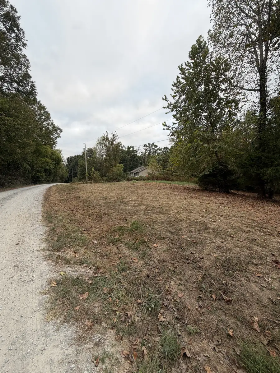 2218 Gina Ln, Mount Pleasant, TN 38474 - #2