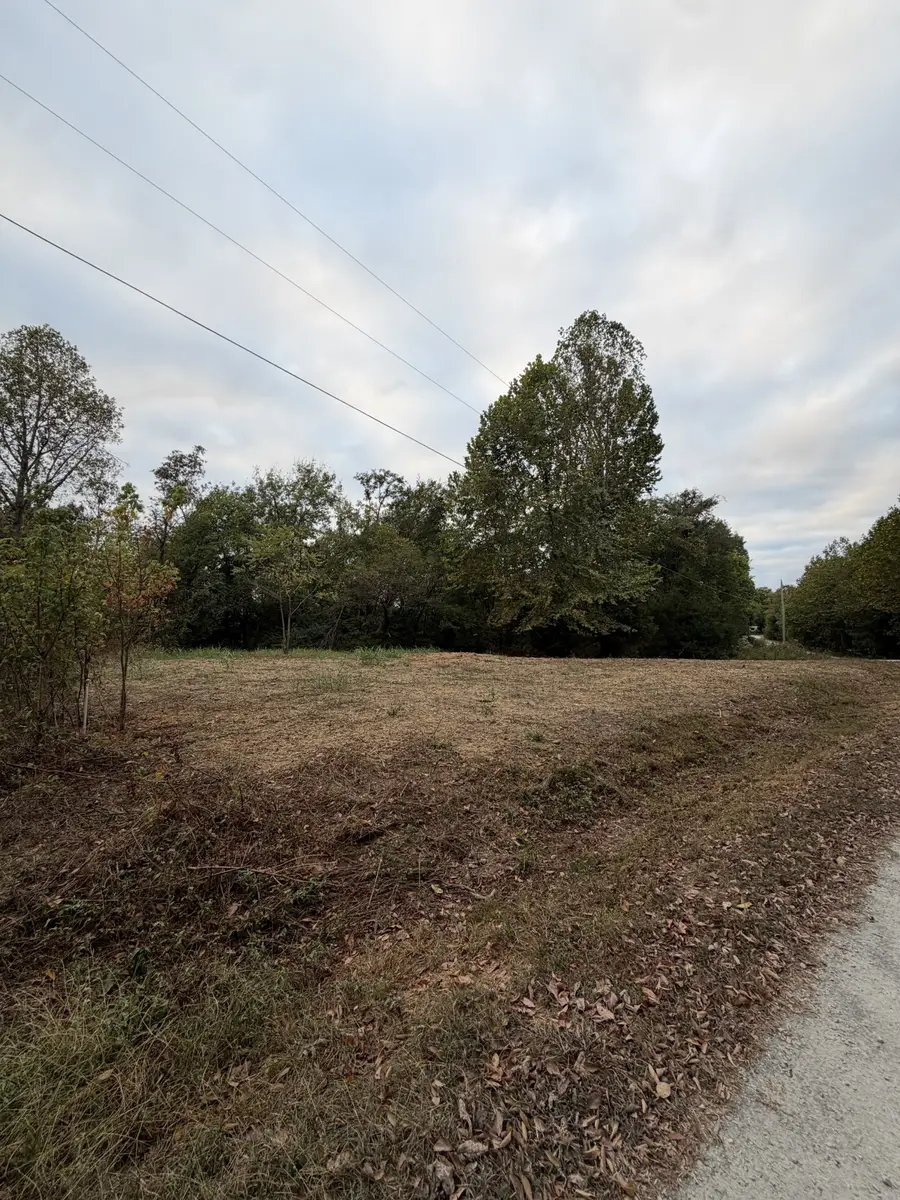 2218 Gina Ln, Mount Pleasant, TN 38474 - #3