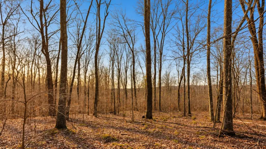 0 Herman Adams Road, Cumberland City, TN 37050 - #3