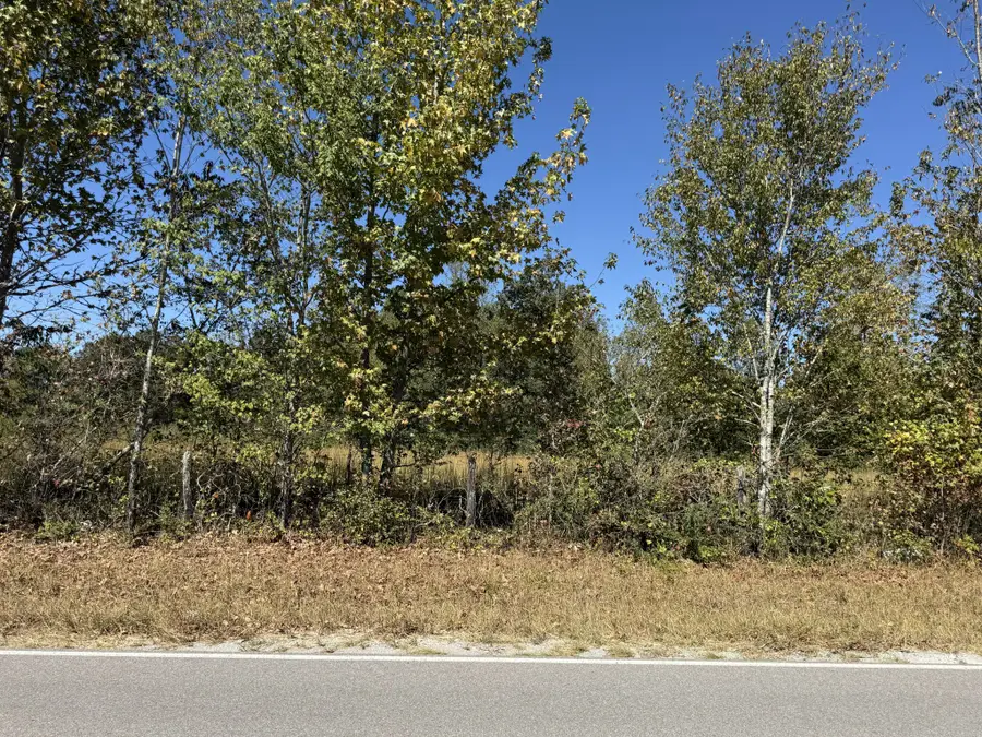0 Old Florence Pulaski Rd, Leoma, TN 38468 - #2