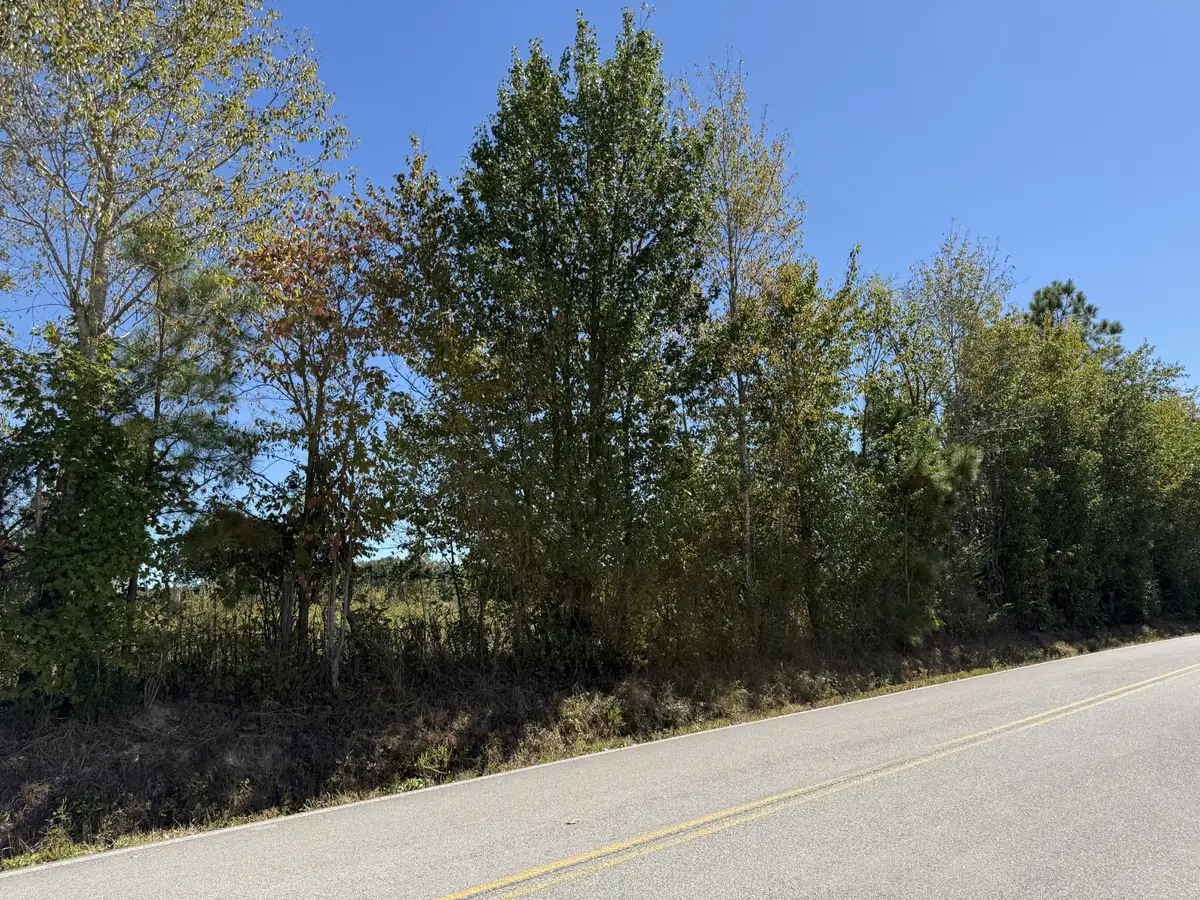0 Old Florence Pulaski Rd, Leoma, TN 38468 - #1