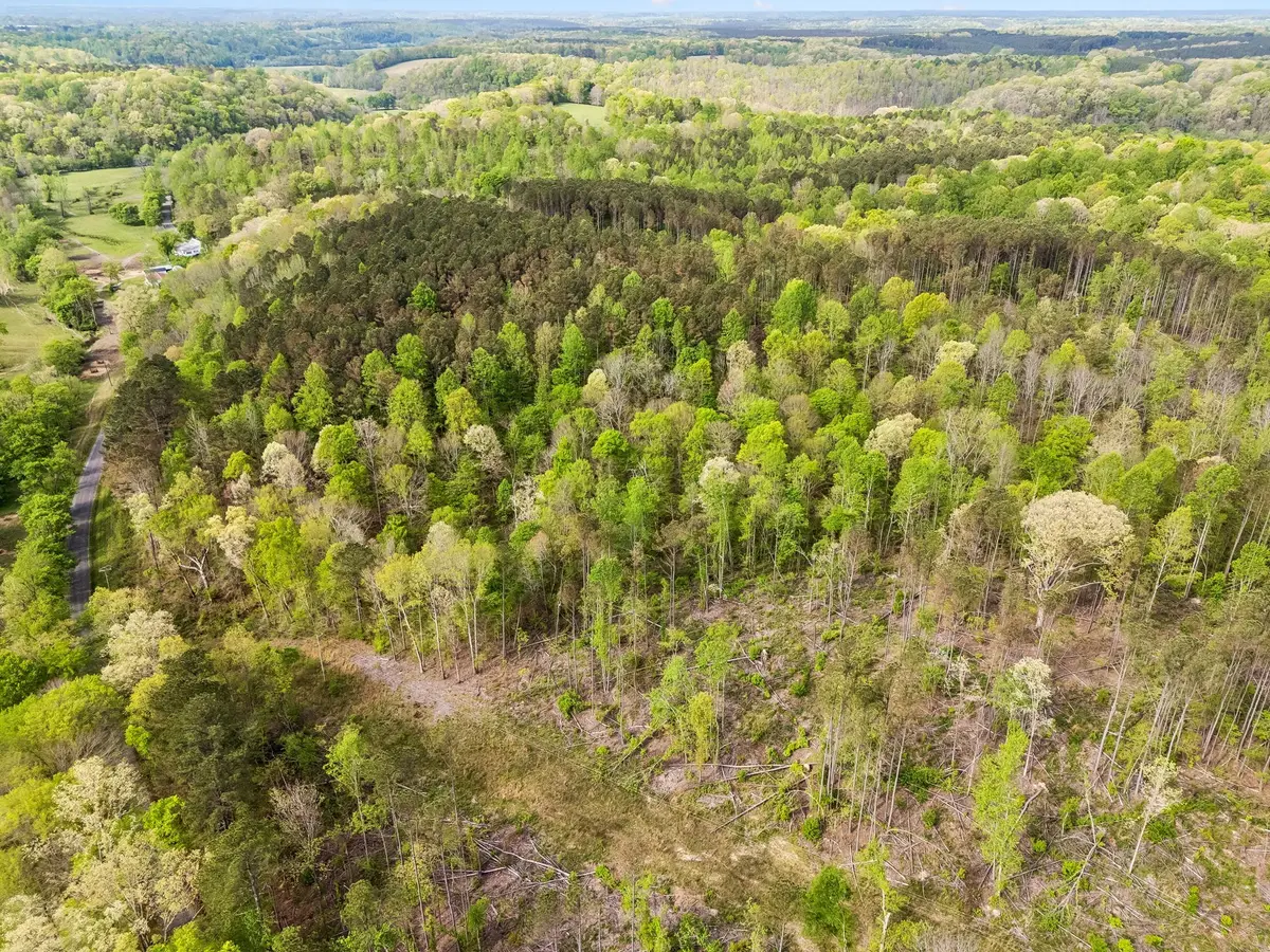 2 Pleasant Ridge Rd, Goodspring, TN 38460 - #1