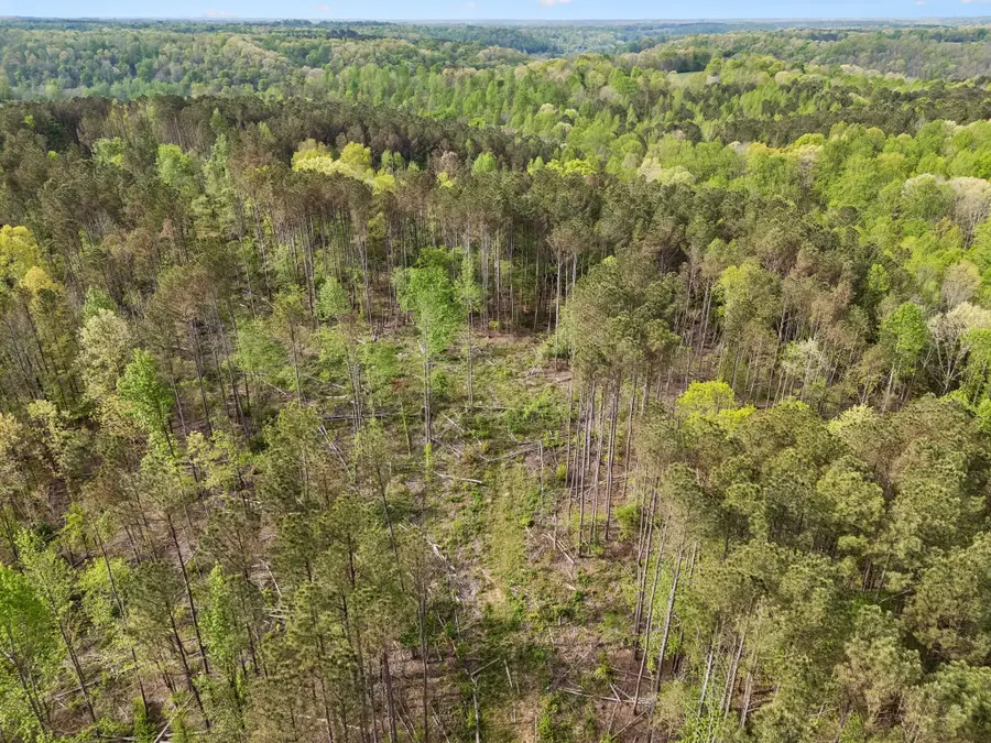 2 Pleasant Ridge Rd, Goodspring, TN 38460 - #3