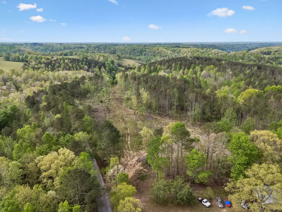 3 Pleasant Ridge Rd, Goodspring, TN 38460 - #2
