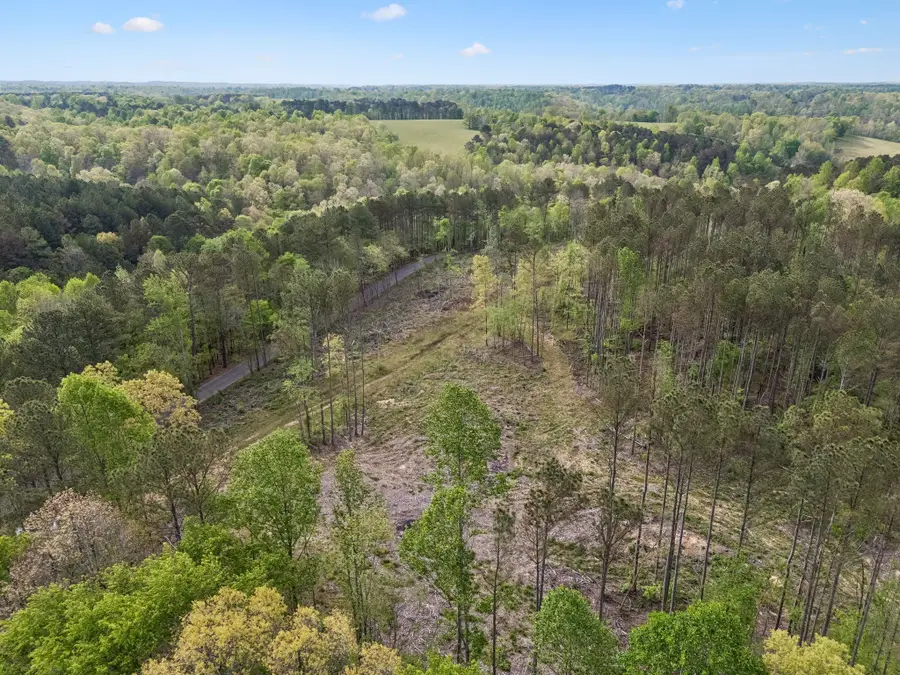 3 Pleasant Ridge Rd, Goodspring, TN 38460 - #3