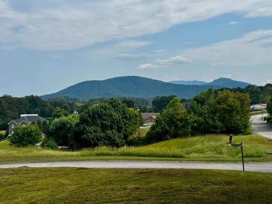 0 Friar Wood Ln, Sevierville, TN 37876 - #2