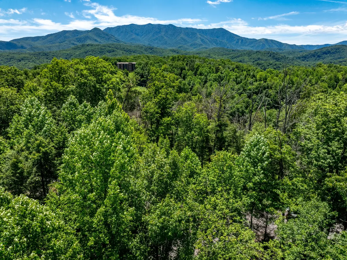0 High Mountain, Gatlinburg, TN 37738 - #1