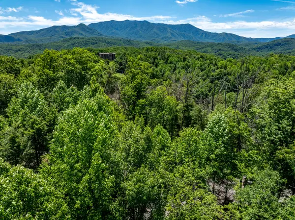 0 High Mountain, Gatlinburg, TN 37738