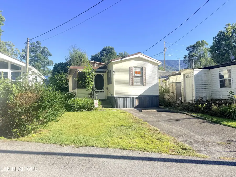 5355 East Pkwy #61, Cosby, TN 37722 - #3