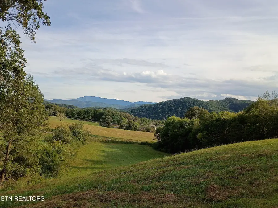 2665 Booty Drive, Newport, TN 37821 - #2