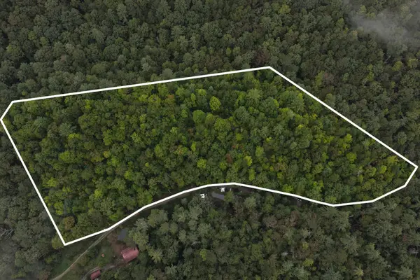 0 Redwood Lane, Ellijay, GA 30540