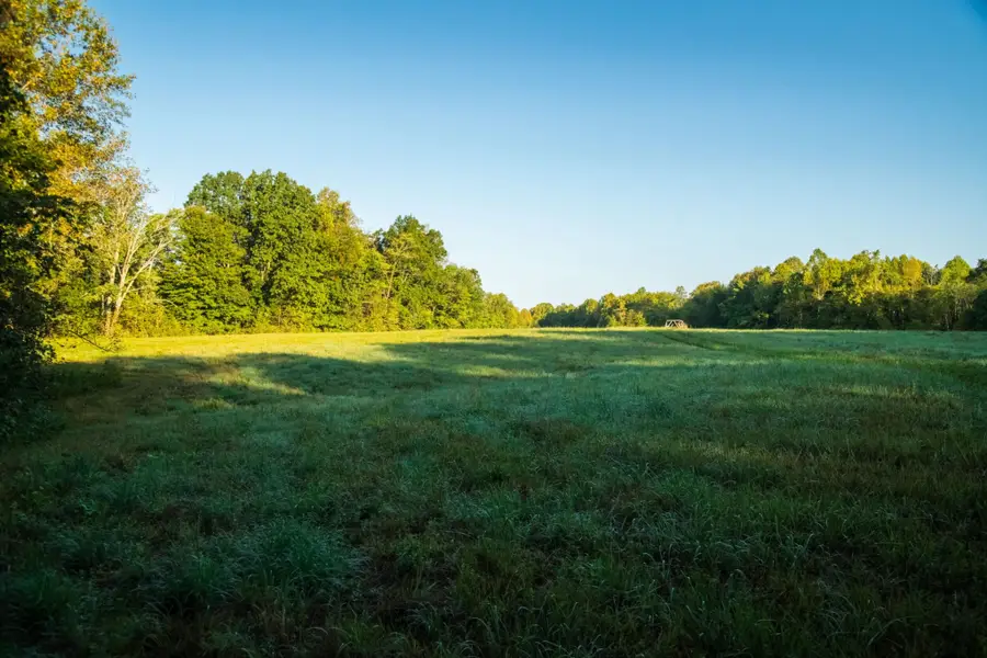 655 Burton Ridge Rd, Silver Point, TN 38582 - #3