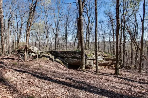8 Long Mountain Trl, McMinnville, TN 37110