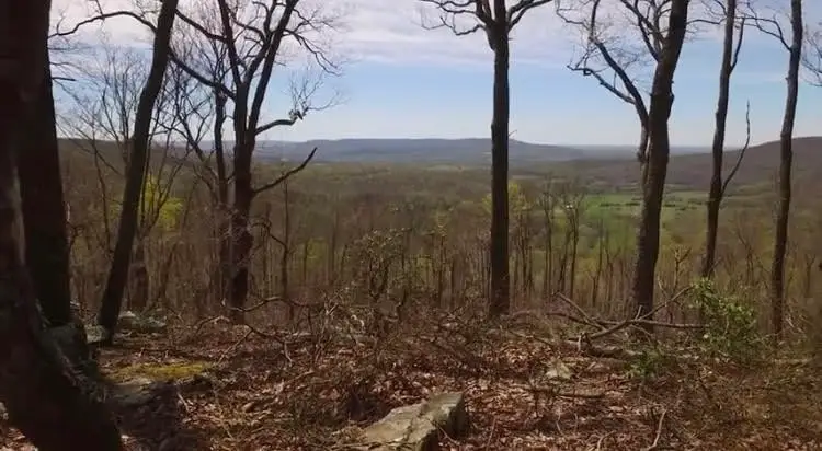 1071 Long Mountain Trail, McMinnville, TN 37110 - #2