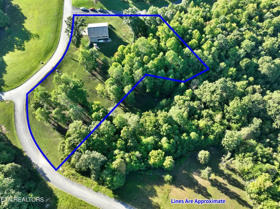385 Hidden Forest Tr, Spring City, TN 37381 - #3