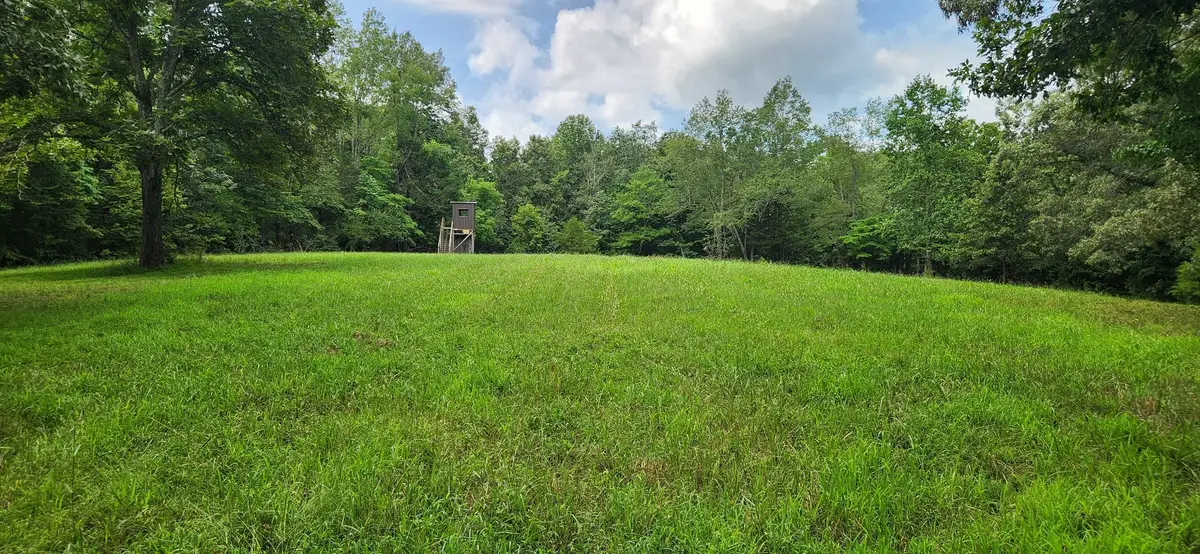0 E Haleys Creek Rd, Centerville, TN 37033 - #1
