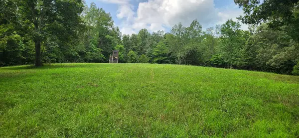0 E Haleys Creek Rd, Centerville, TN 37033
