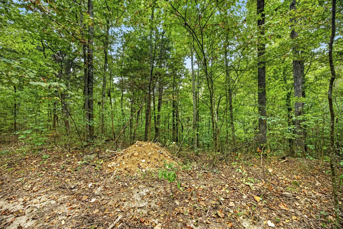 0 Timber Ridge Lane, Celina, TN 38551 - #1