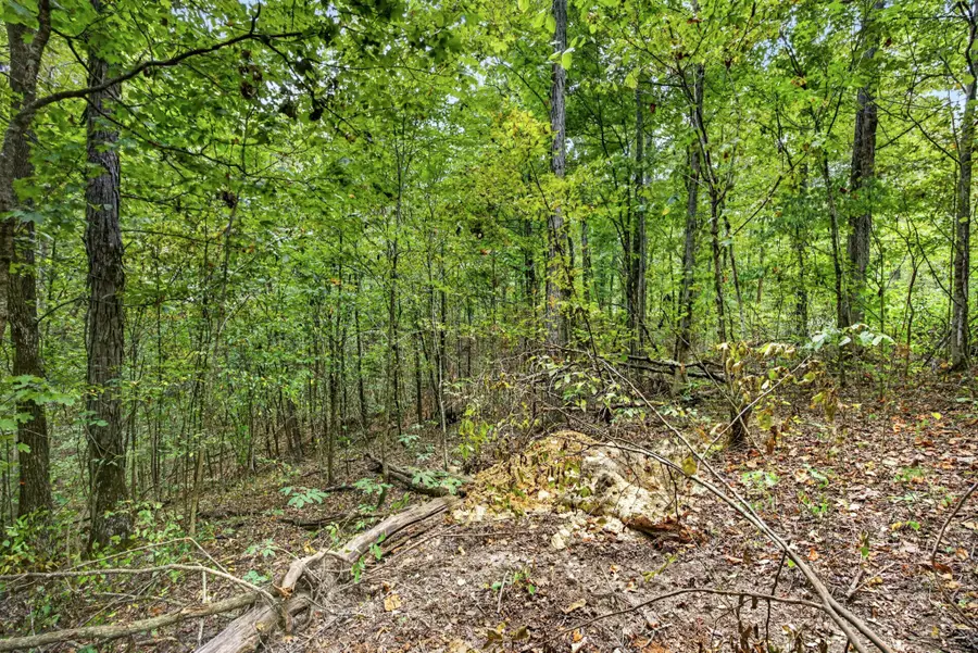 0 Timber Ridge Lane, Celina, TN 38551 - #2