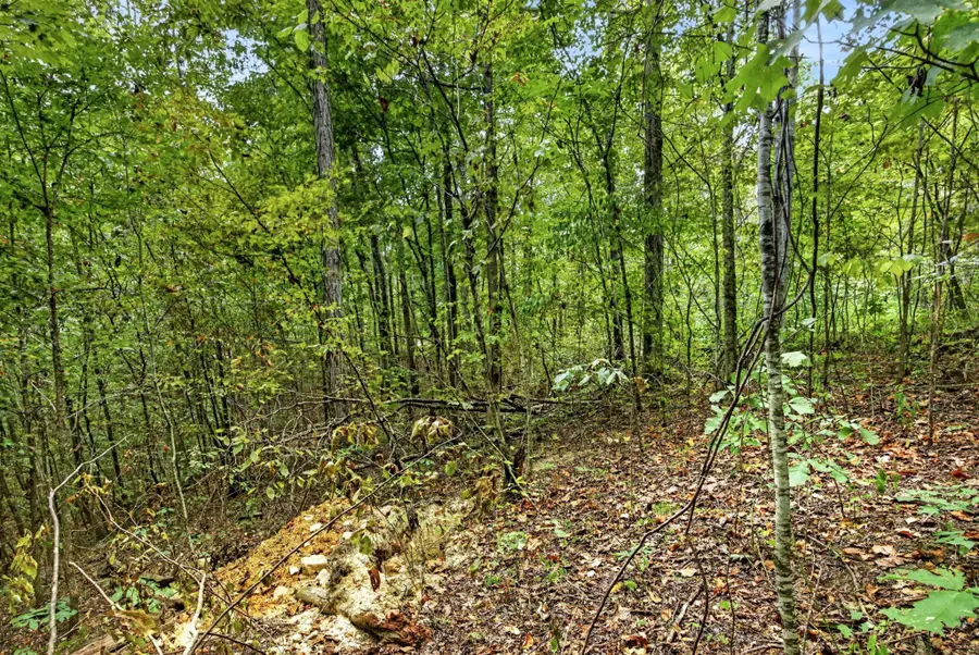 0 Timber Ridge Lane, Celina, TN 38551 - #3