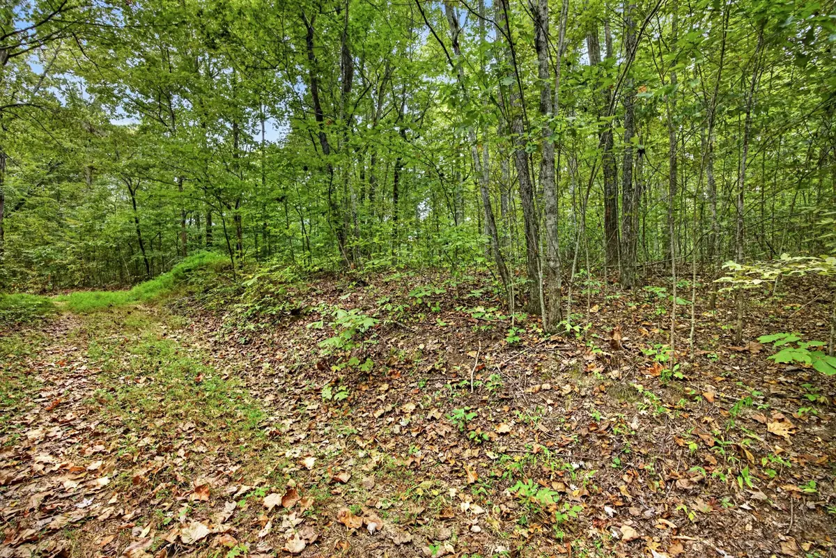 0 Timber Ridge Lane, Celina, TN 38551 - #1