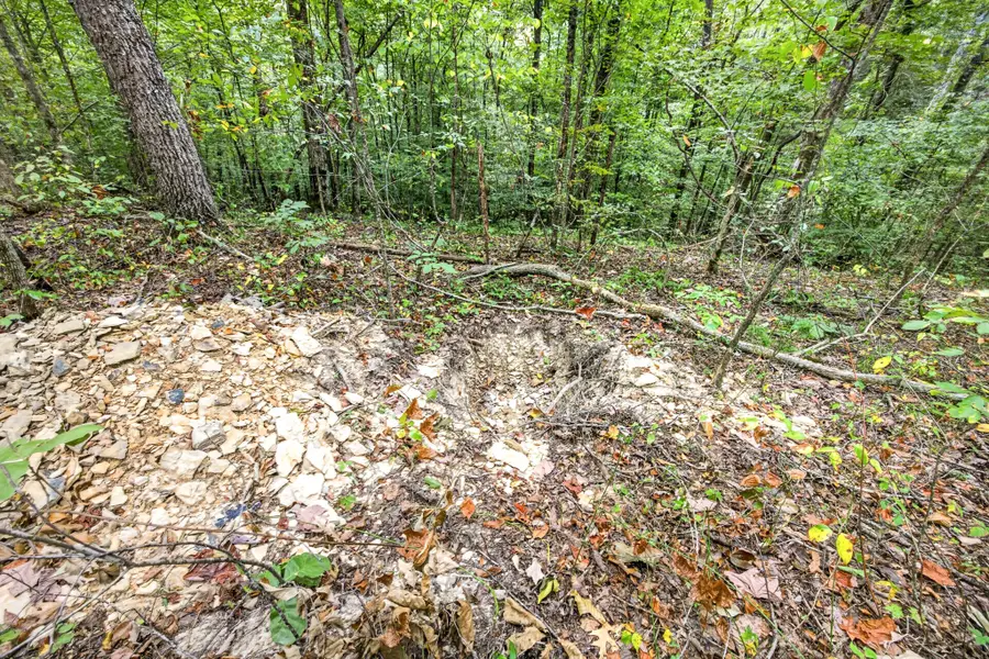 0 Timber Ridge Lane, Celina, TN 38551 - #3