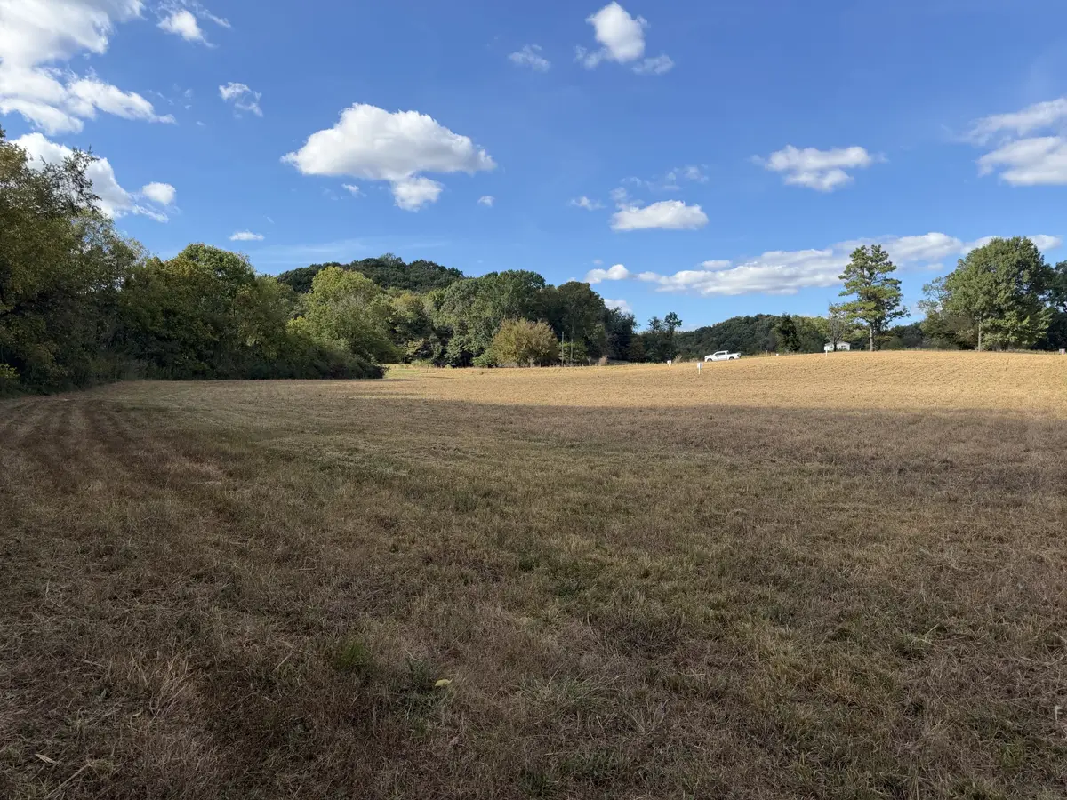 11 Booker Ridge Rd, Mount Pleasant, TN 38474 - #1