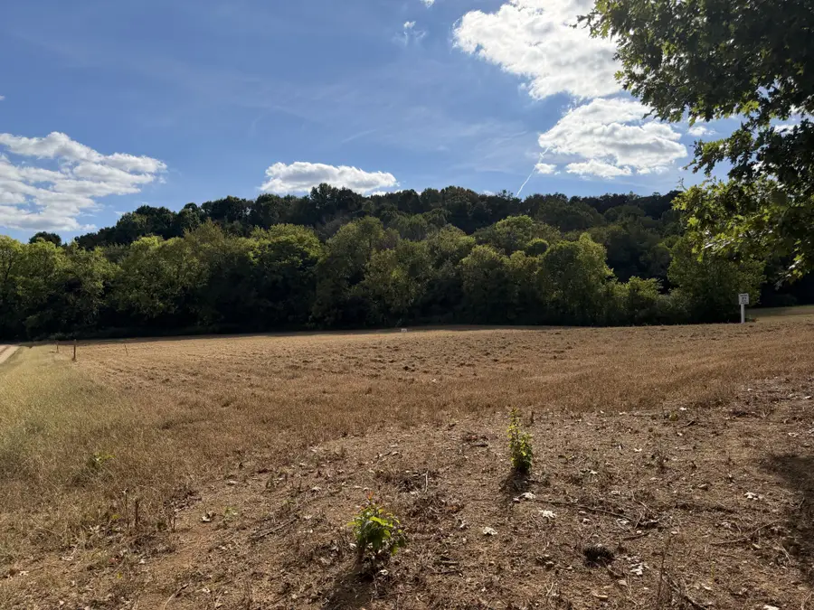 11 Booker Ridge Rd, Mount Pleasant, TN 38474 - #2