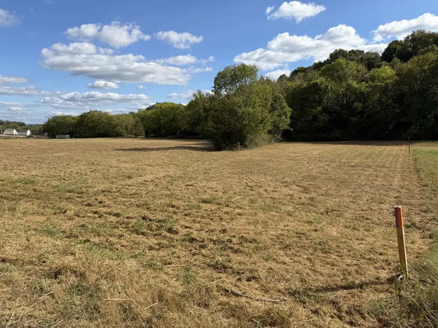 11 Booker Ridge Rd, Mount Pleasant, TN 38474 - #3