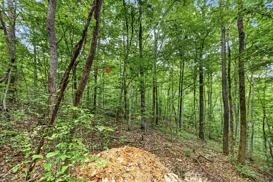 0 Timber Ridge Lane, Celina, TN 38551 - #2
