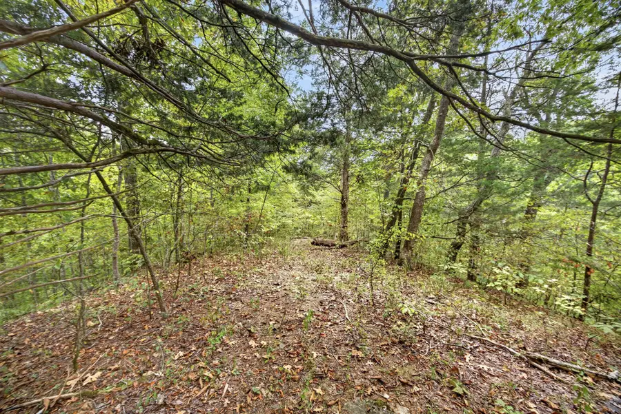 0 Timber Ridge Lane, Celina, TN 38551 - #3