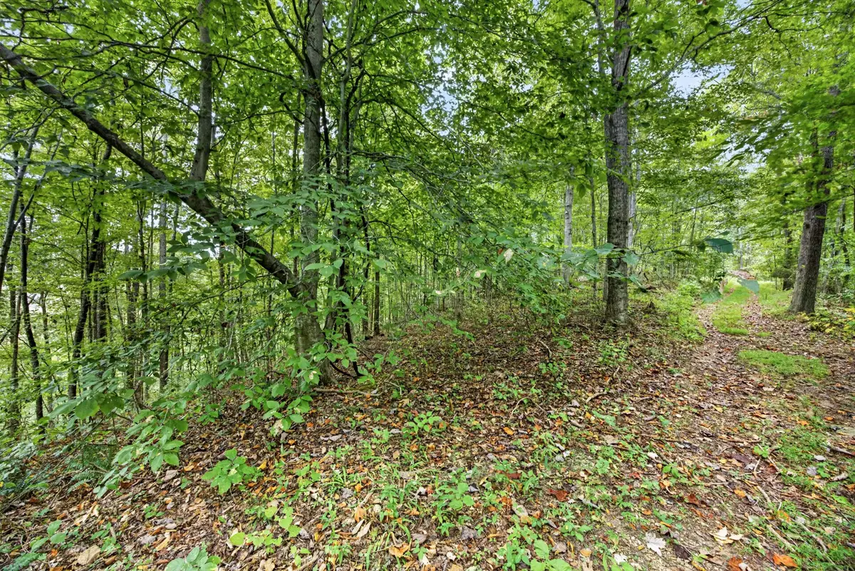 0 Timber Ridge Lane, Celina, TN 38551 - #1