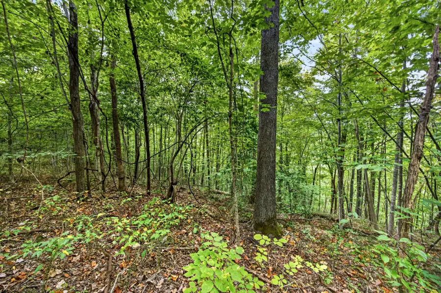 0 Timber Ridge Lane, Celina, TN 38551 - #2