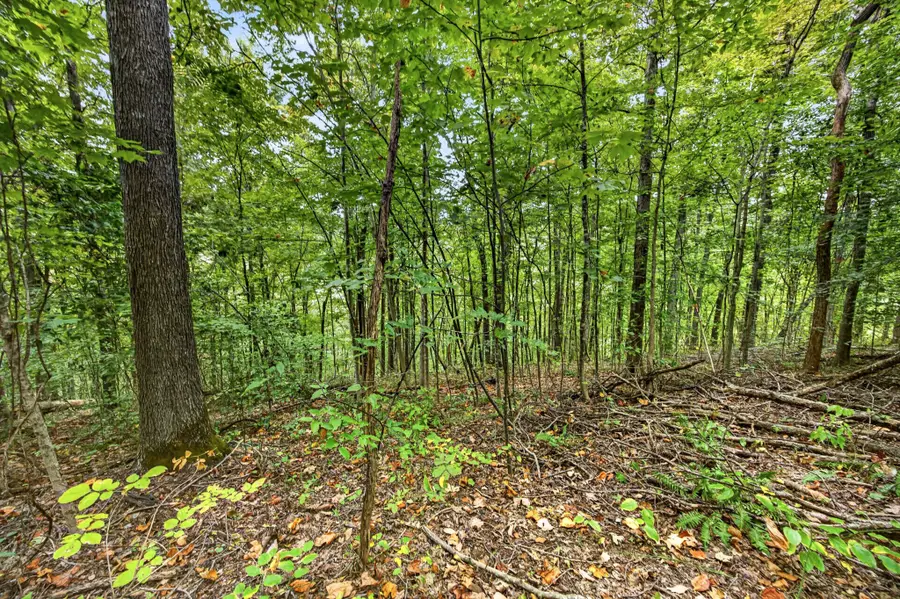 0 Timber Ridge Lane, Celina, TN 38551 - #3