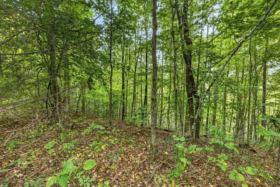 0 Timber Ridge Lane, Celina, TN 38551 - #2