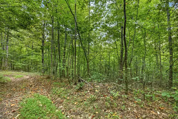 0 Timber Ridge Lane, Celina, TN 38551