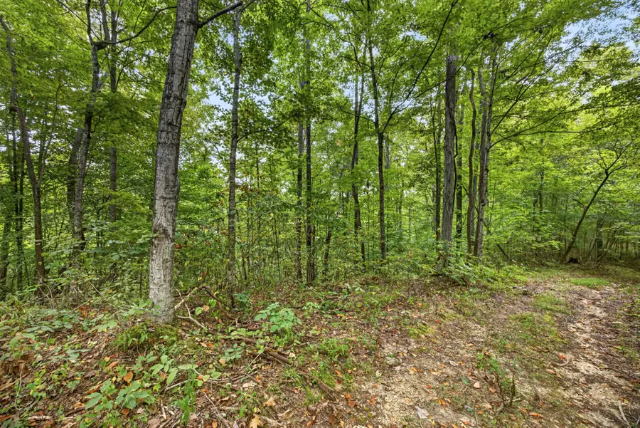 0 Timber Ridge Lane, Celina, TN 38551 - #3