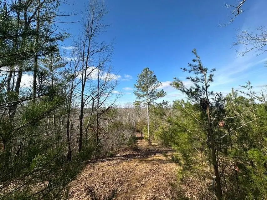 125 Fox Trail Drive, Old Fort, TN 37362 - #3
