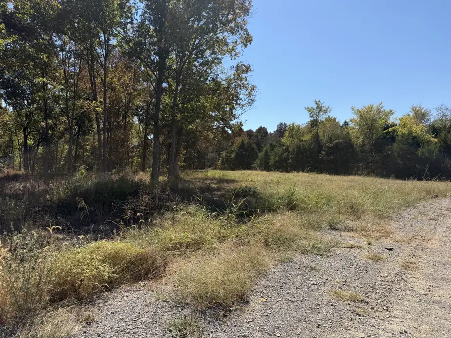 1247 George Patterson Dr, Murfreesboro, TN 37127 - #2