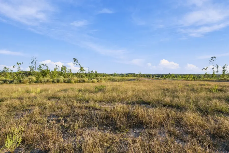 0 Birdsong Road, Holladay, TN 38341 - #2