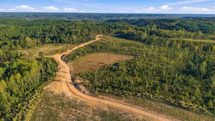0 Birdsong Road, Holladay, TN 38341 - #3