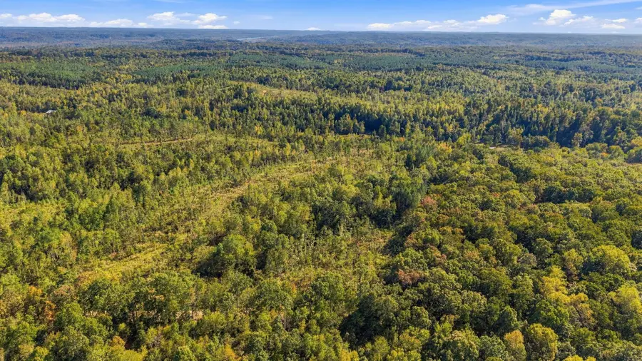0 Birdsong Road, Holladay, TN 38341 - #3