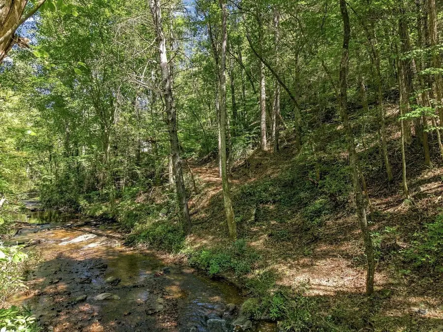 0 Dell Moore Road, Marble Hill, GA 30148 - #3